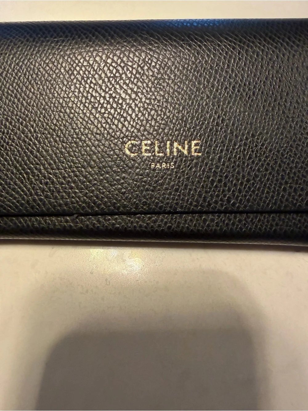 CELINE CL4005IN sunglasses In black